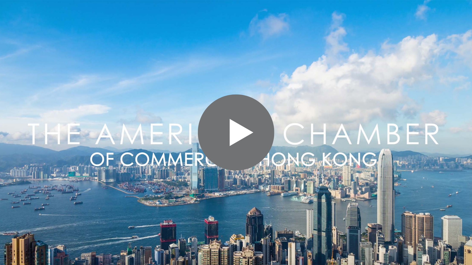 AmCham Community Hub