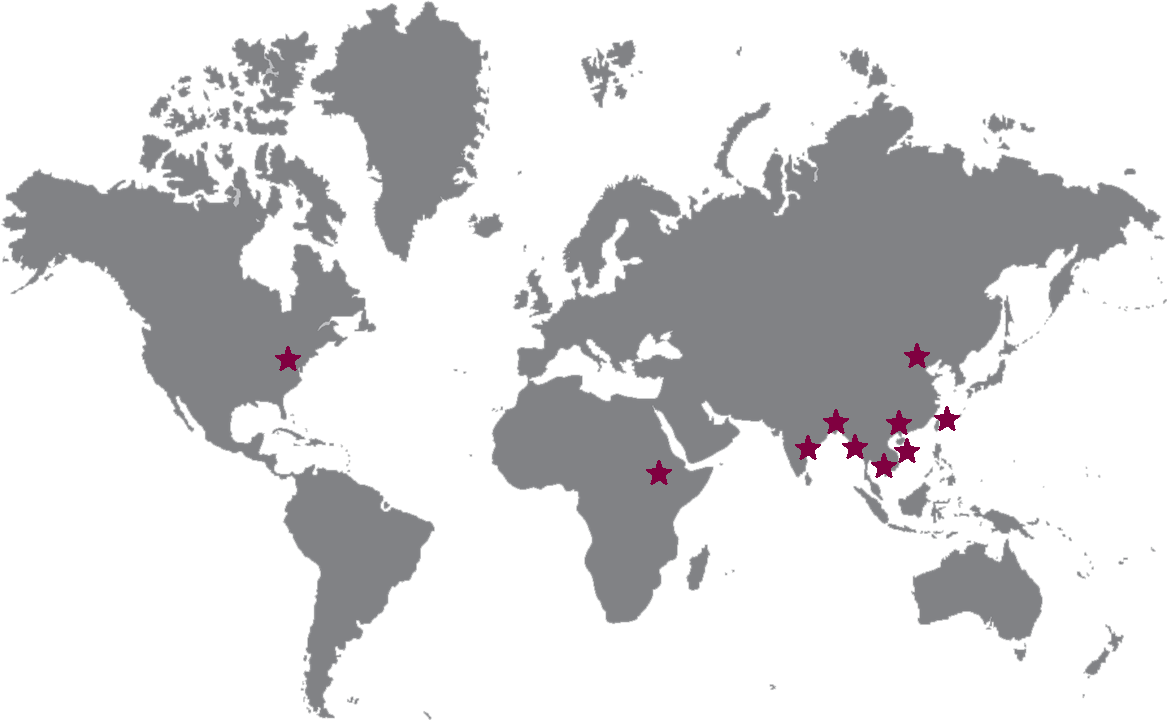 AmCham Advocacy Footprint